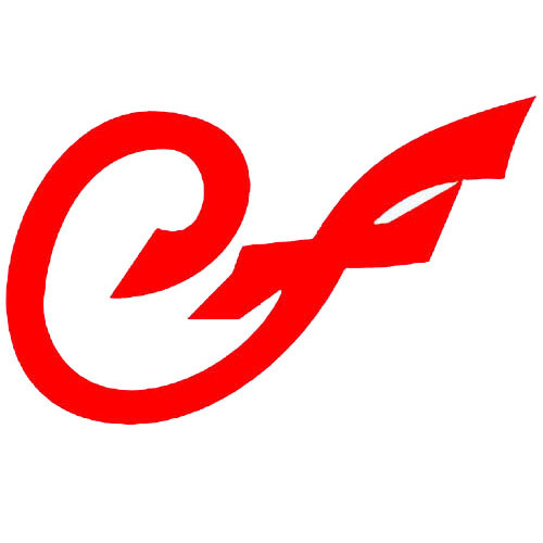 Cengizler Logo